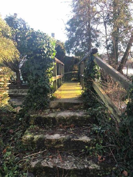 Eco-Friendly Dorset Cottage With Spa Set In Heart Of Countryside Sydling St Nicholas Exteriér fotografie