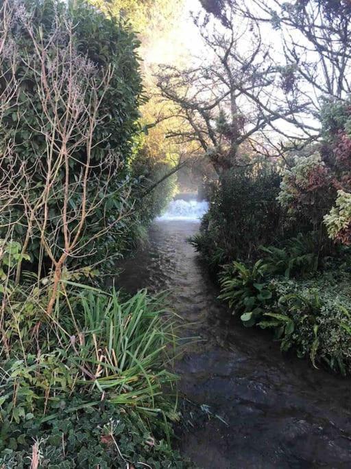 Eco-Friendly Dorset Cottage With Spa Set In Heart Of Countryside Sydling St Nicholas Exteriér fotografie