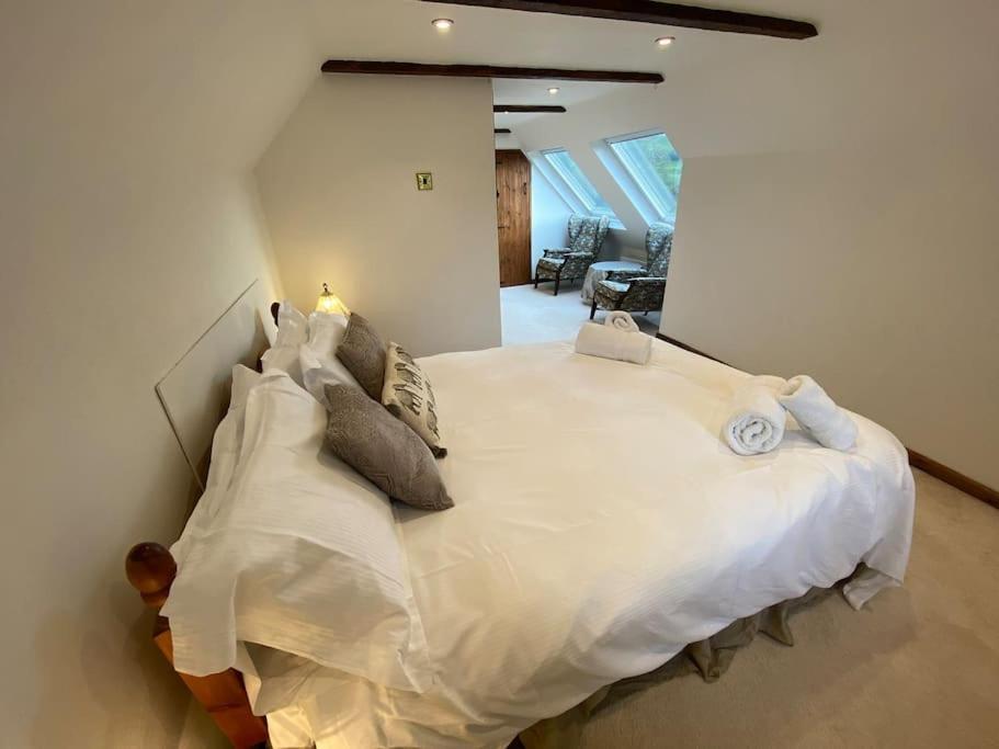 Eco-Friendly Dorset Cottage With Spa Set In Heart Of Countryside Sydling St Nicholas Exteriér fotografie